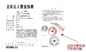 越秀网站建设 营业执照范本